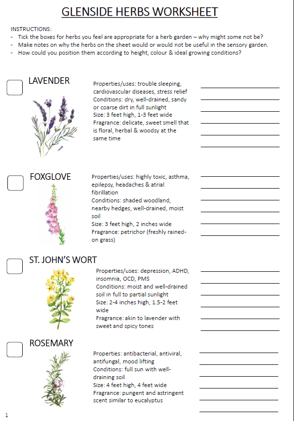 Colour image of one of the Eco Club worksheets